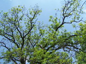 min/nature-002.jpg photo libre de droit