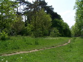 min/nature-003.jpg photo libre de droit