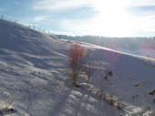 min/nature-004.jpg photo libre de droit