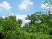 min/nature-008.jpg photo libre de droit