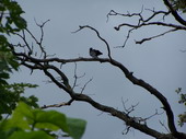 min/nature-011.jpg photo libre de droit