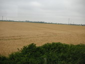 min/nature-016.jpg photo libre de droit