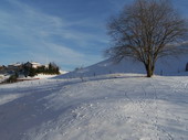 min/nature-019.jpg photo libre de droit