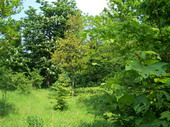 min/nature-021.jpg photo libre de droit