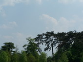 min/nature-023.jpg photo libre de droit