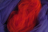 min/texture-015.jpg photo libre de droit